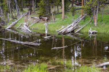 Yellowstone Gölü 'nde gündoğumu Wyoming' deki Yellowstone Ulusal Parkı 'nda