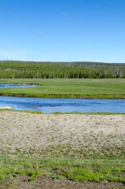 Ağaçlar, nehir, gayzer ve sıcak kaynak Wyoming 'deki Yellowstone Ulusal Parkı' ndaki eski sadık havzada.