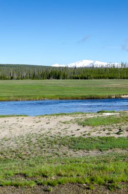 Ağaçlar, nehir, gayzer ve sıcak kaynak Wyoming 'deki Yellowstone Ulusal Parkı' ndaki eski sadık havzada.