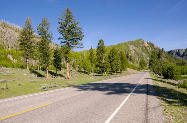 Ağaçlar Nehir Gayzer Sıcak Kaynak Wyoming Deki Yellowstone Ulusal Parkı — Stok fotoğraf