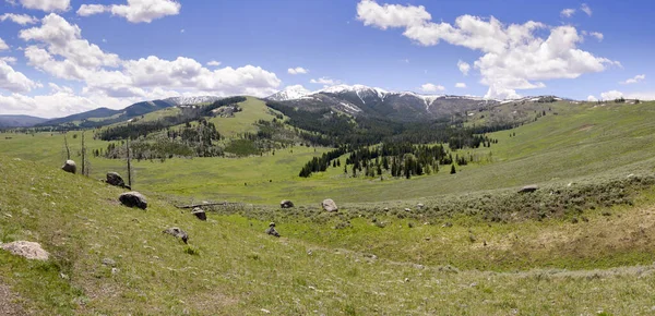 Ağaçlar Nehir Gayzer Sıcak Kaynak Wyoming Deki Yellowstone Ulusal Parkı — Stok fotoğraf