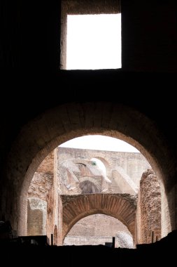 İtalya 'da Roma' daki kolezyum anıtının görüşleri ve ayrıntıları