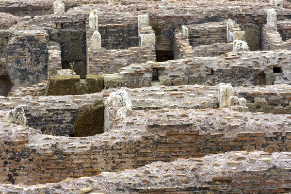 İtalya 'da Roma' daki kolezyum anıtının görüşleri ve ayrıntıları