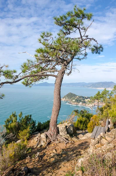 Sestri Levante Dorp Liguria Italië — Stockfoto