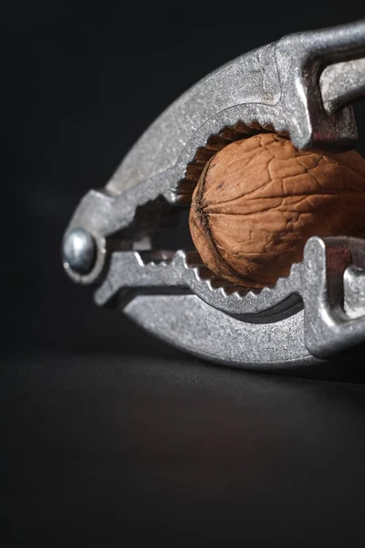 Valnötter på en mörk bakgrund. Nötknäpparen närbild. — Stockfoto