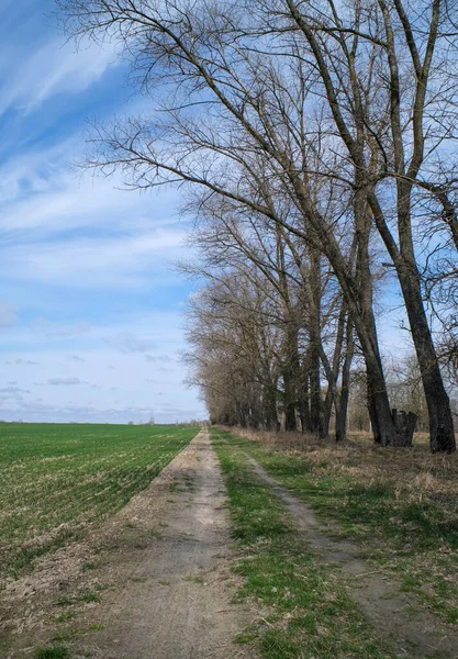 Εαρινό τοπίο αγροτικού δρόμου με δέντρα και χωράφι. — Φωτογραφία Αρχείου