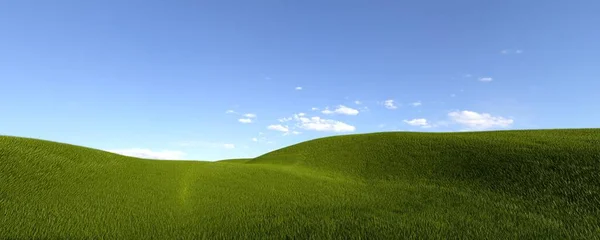 3d rendering image of a green field of grass and a bright blue sky. — Fotografia de Stock