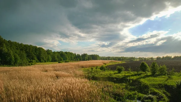 Krajina Zarostlé Řeky Krásné Nebe Krajina Dešti Při Západu Slunce — Stock fotografie