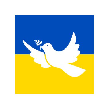 White pigeon on patriotic of Ukraine flag. Pray for Ukraine. Vector banner isolated on white background. clipart