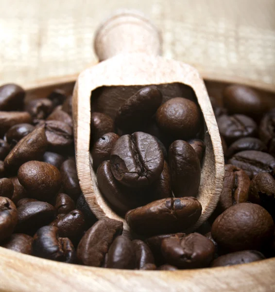 Coffee Beans — Stock Photo, Image