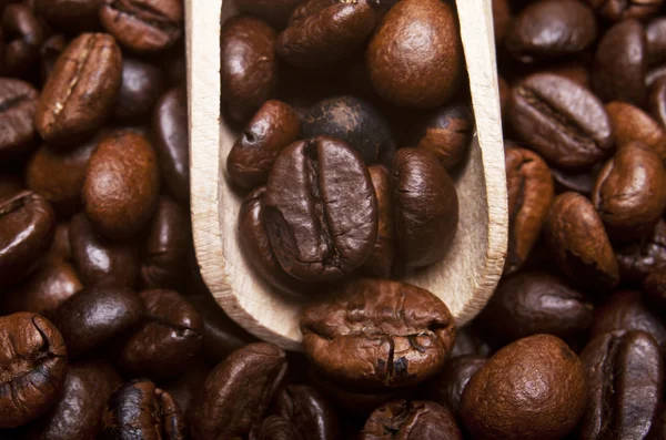 Coffee Beans — Stock Photo, Image