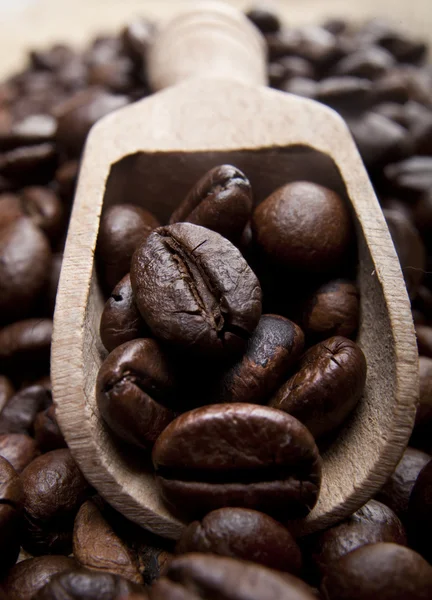 Coffee Beans — Stock Photo, Image