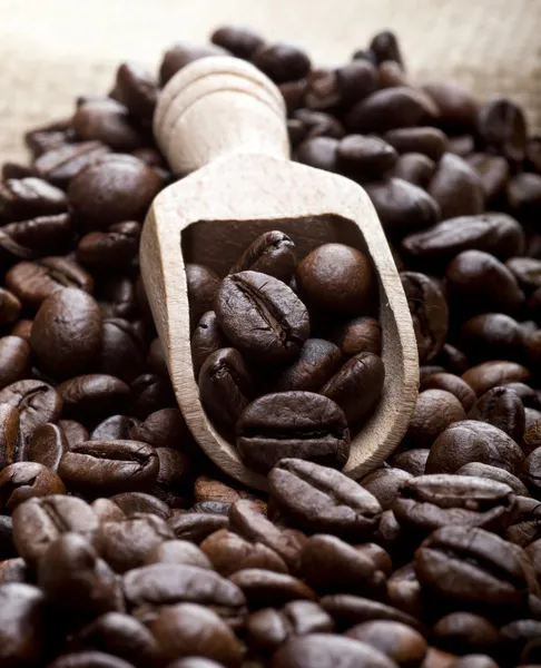 Coffee Beans — Stock Photo, Image