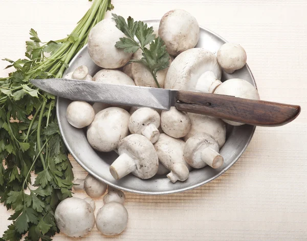 Mushrooms — Stock Photo, Image