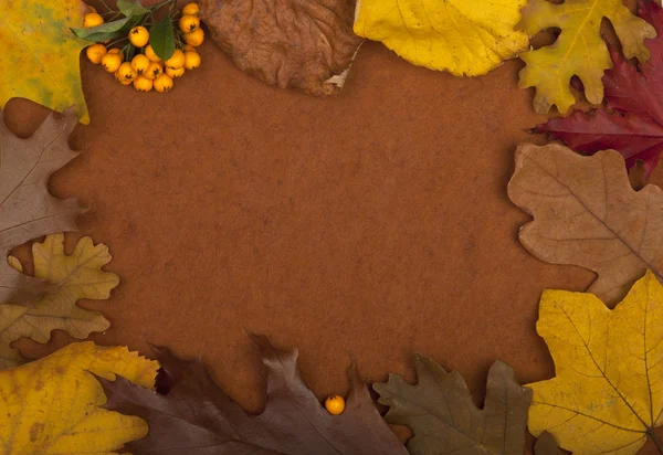 秋のカード — ストック写真