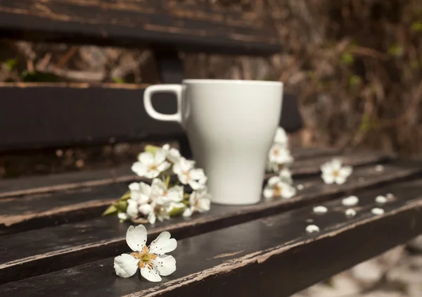 ベンチの上のコーヒー — ストック写真