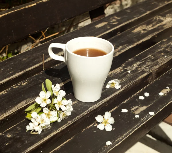 ベンチの上のコーヒー — ストック写真