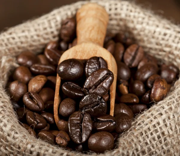 Coffee Beans — Stock Photo, Image