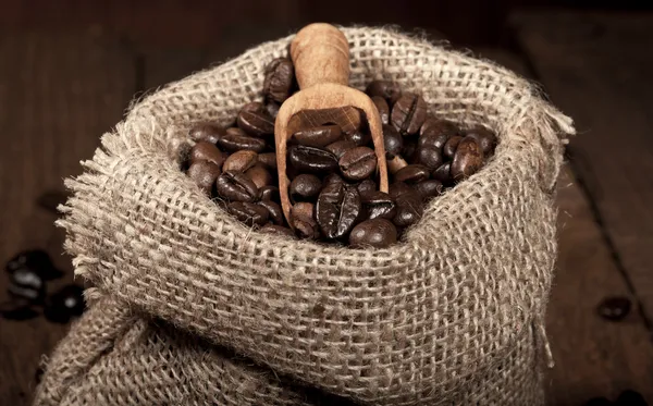 Coffee Beans — Stock Photo, Image