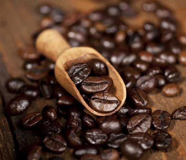 Coffee Beans — Stock Photo, Image