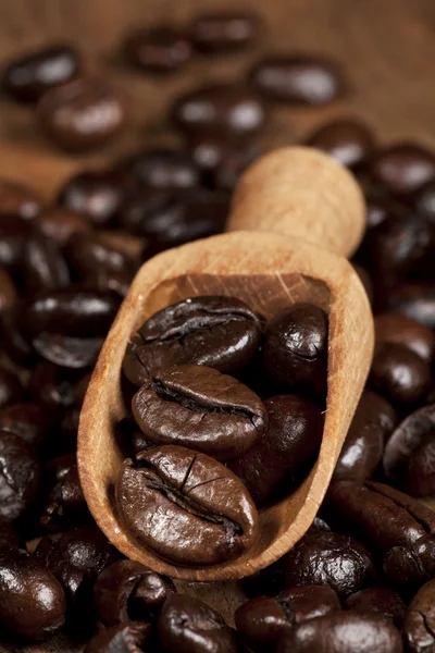 Coffee Beans — Stock Photo, Image