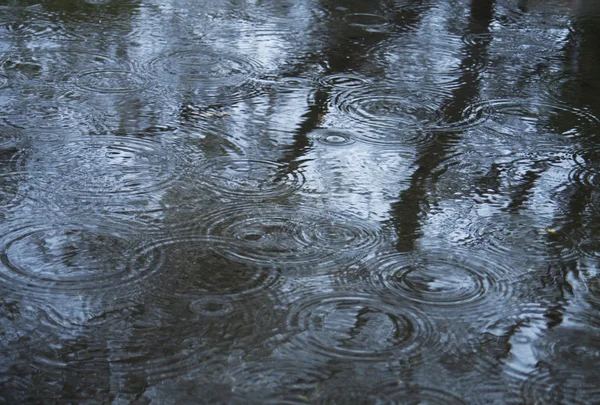 Rain Drops — Stock Photo, Image