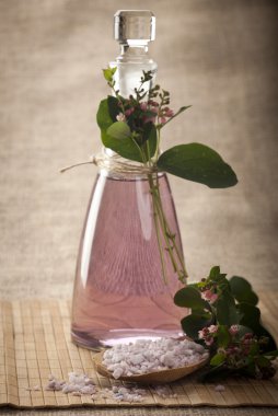 güzel taze spa arka plan