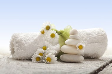 güzel taze spa arka plan