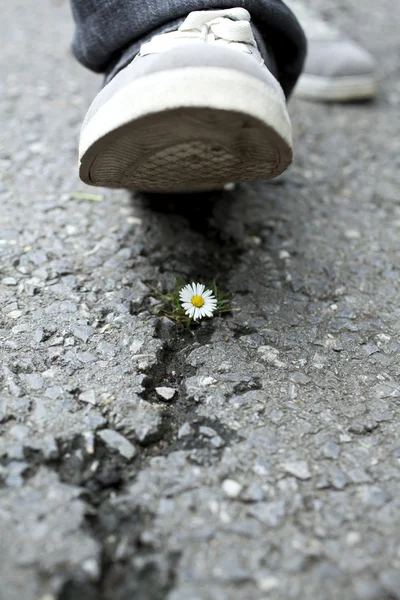 Concetto ambientale — Foto Stock