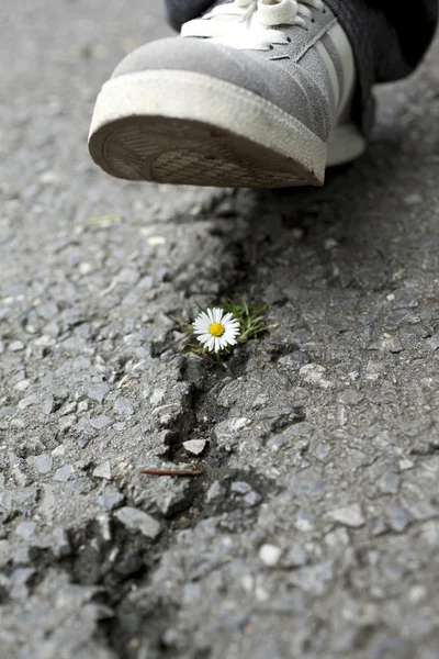 Concetto ambientale — Foto Stock