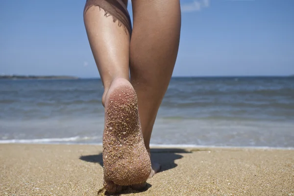 Sommer — Stockfoto