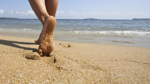 Zomer — Stockfoto