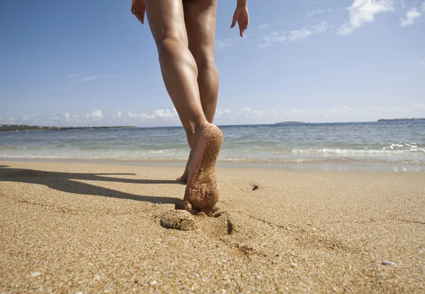 Sommer — Stockfoto