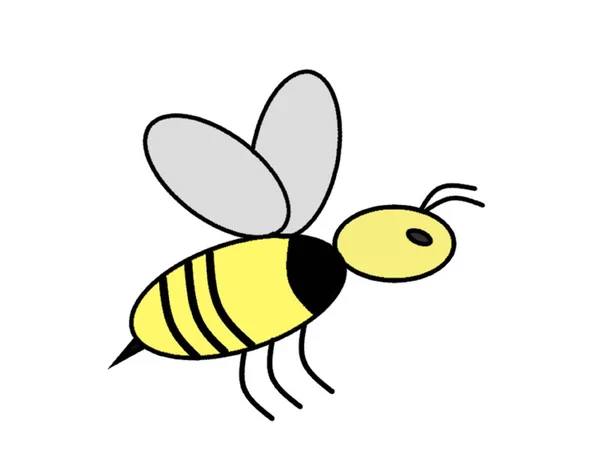 Bir bal arısının vektör çizimi