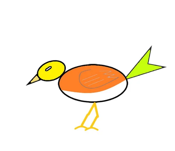 Ilustração Vetorial Pássaro —  Vetores de Stock