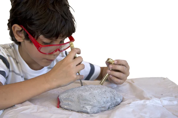 dinozor Fosili sıva dışına kazı çocuk