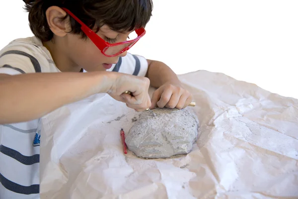 Boy excavating dinosaur fossil out of plaster — Stock Photo, Image