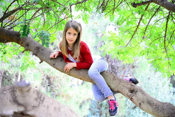 bir dal üzerinde oturan güzel sarışın kız