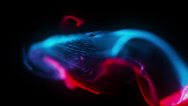 Beautiful Slow motion red and blur fluid particles background video. Stock Video