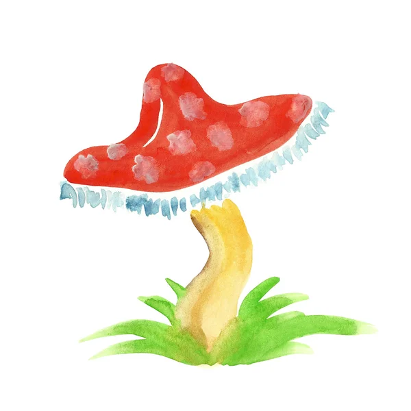 Amanita — Stockfoto