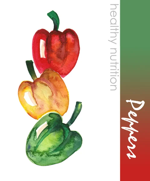 Paprika — Stock fotografie