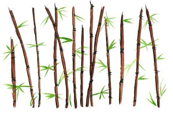 Watercolor Bamboo — Stock Photo, Image