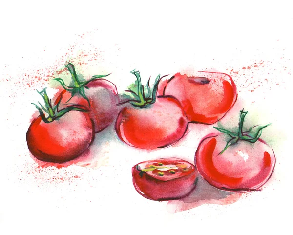 Aquarel tomaten — Stockfoto