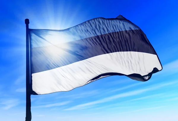 Vlag van Estland — Stockfoto