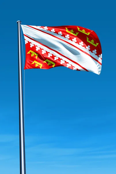 Alsace (France) flag waving on the wind — Stock Photo, Image