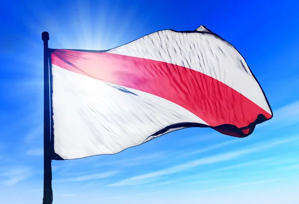 Strasbourg (France) flag waving on the wind — Stock Photo, Image