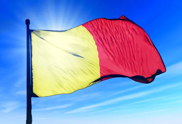 奥尔良 (法国) 国旗在风中飘扬 — 图库照片