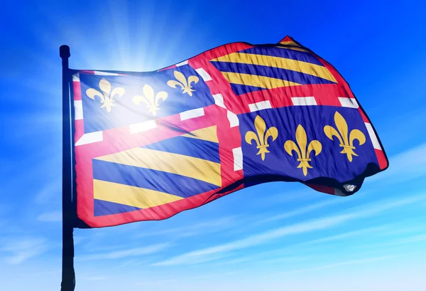 Bourgogne (France) flag waving on the wind — Stock Photo, Image