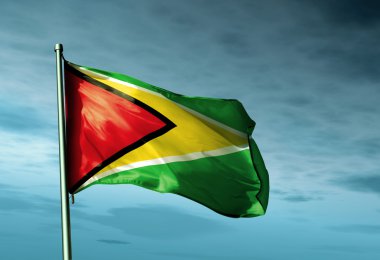 Guyana Bayrağı 