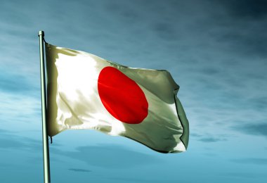 Japon Bayrağı 
